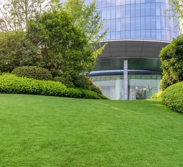 Exceptional Commercial Landscaping Service in Chandler AZ
