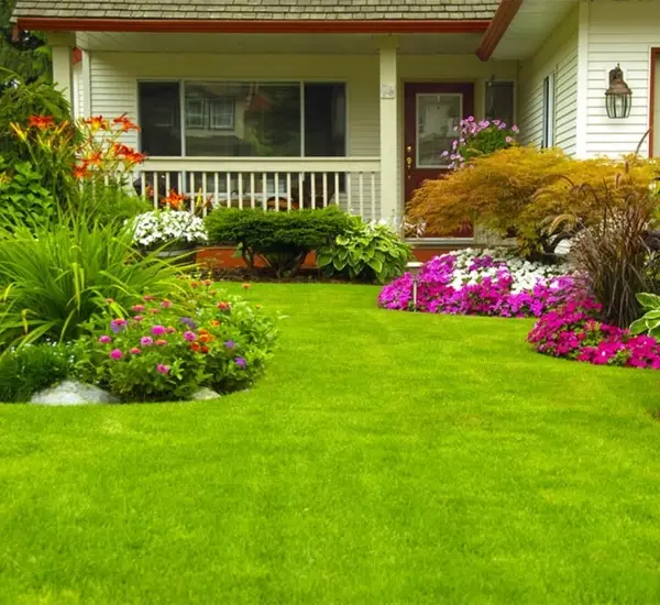 Fabulous Residential Lawn Care in Phoenix AZ