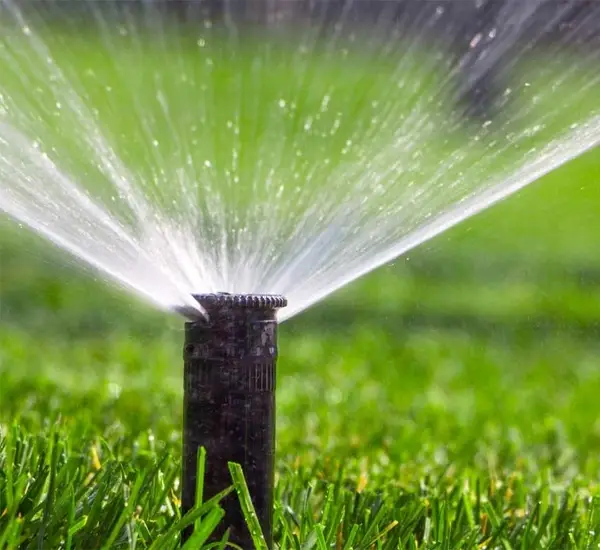 Excellent Irrigation Services in Scottsdale AZ