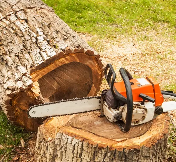 Tree Trimming Services in Sperry OK