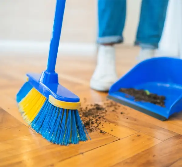 House Clean Services in Savannah, GA