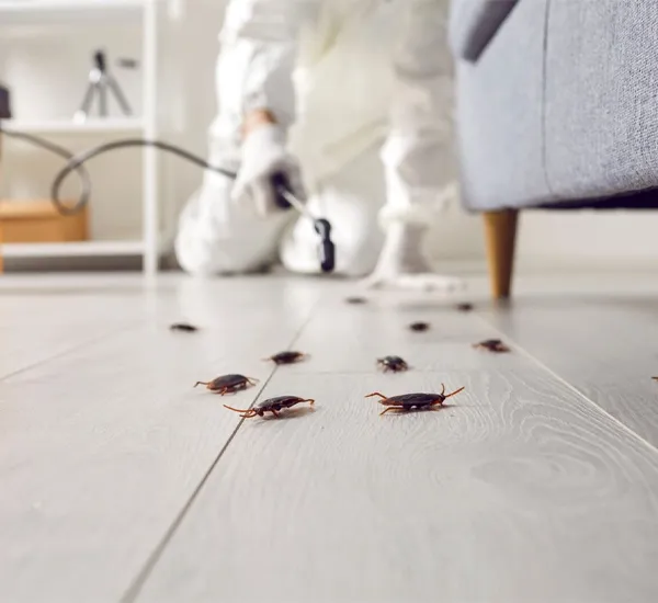 Cockroach Extermination in Columbia, MD
