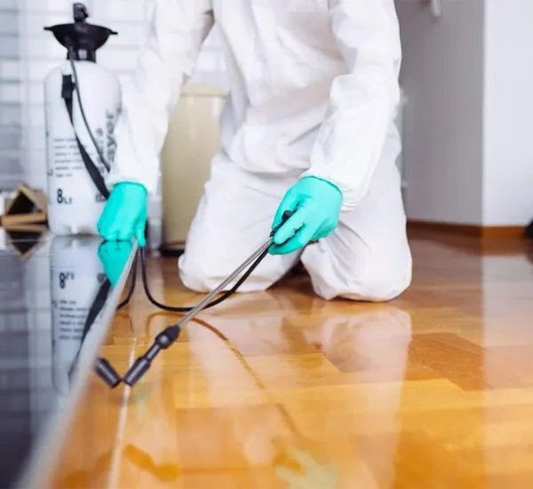 Pest Control Extermination in Silver Spring, MD