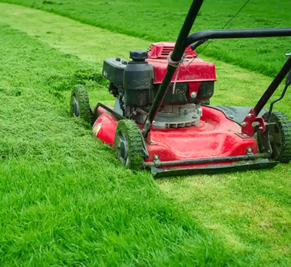 Top-notch Landscaping Service in Savannah GA