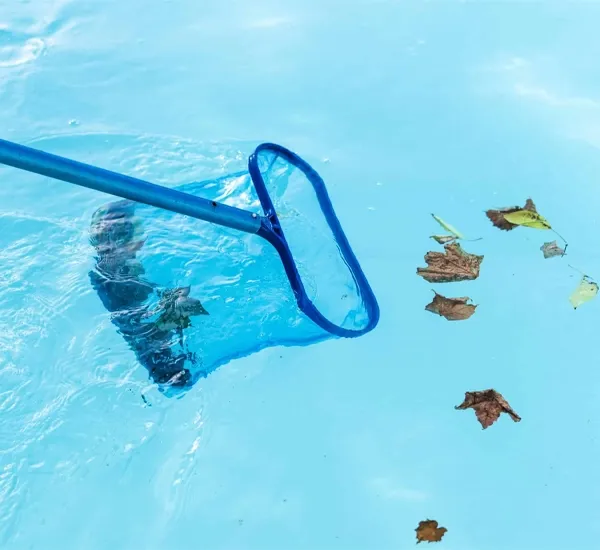 Best Swimming Pool Maintenance in Bedford, TX