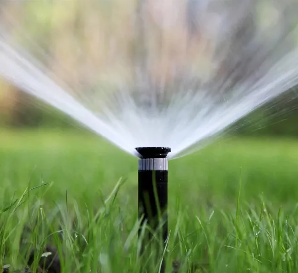 Irrigation Repair in Avondale, AZ