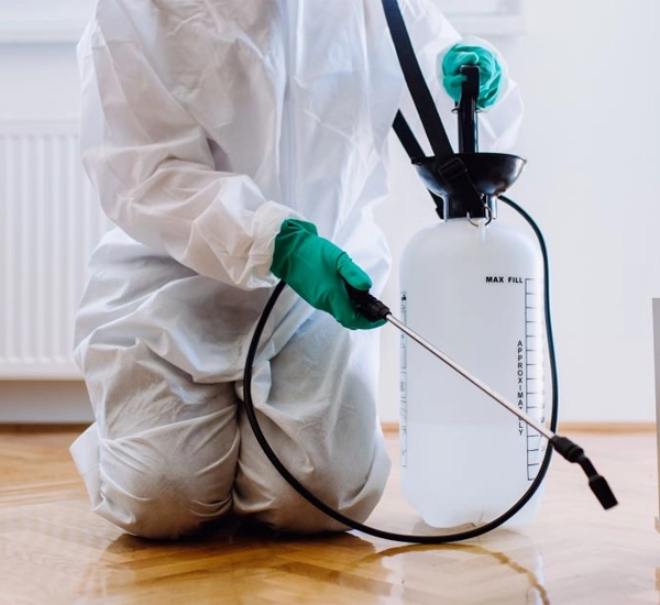 Pest Control Services in Yorba Linda, CA