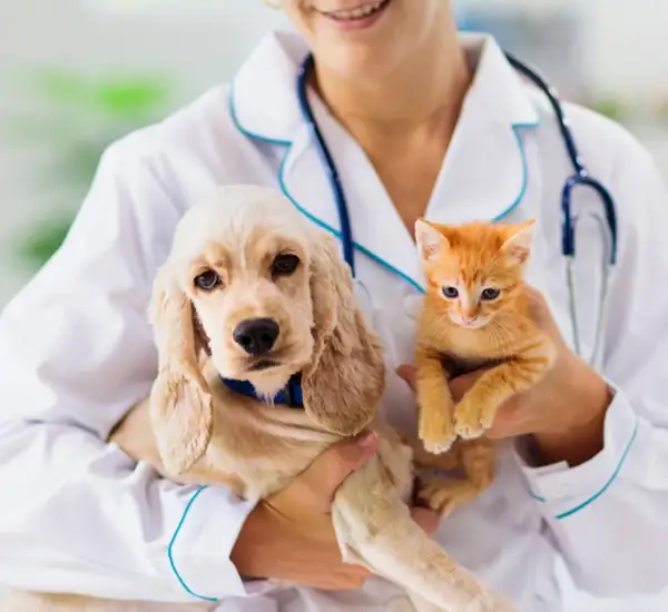Affordable Pet Care in Carrollton TX