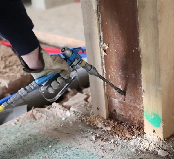 Termite Control Service in Fullerton CA