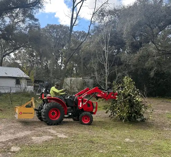 Tree Removal and Pruning in Clermont, FL