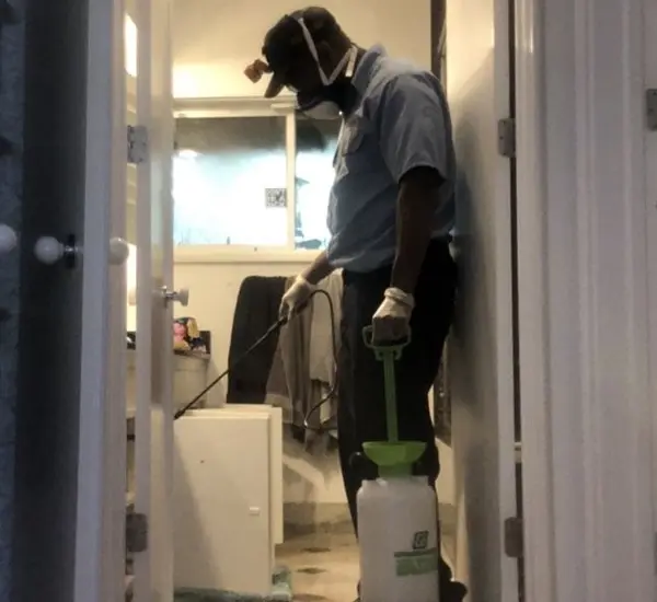 Pest Control Services in Beverly Hills, CA