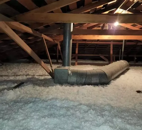 Insulation Services for Attic in Cook County IL