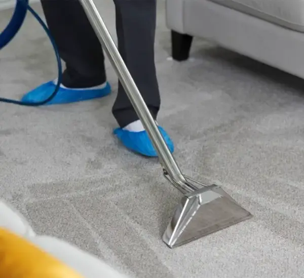 Affordable Carpet Cleaning in Coconut Creek, FL