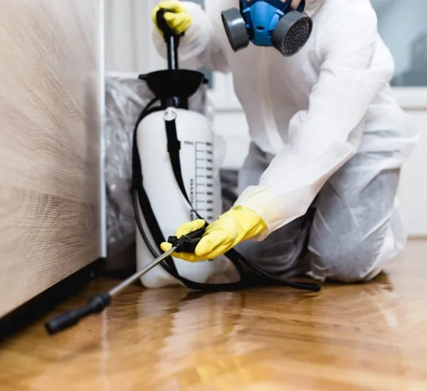 Pests Control Services in Orange CA
