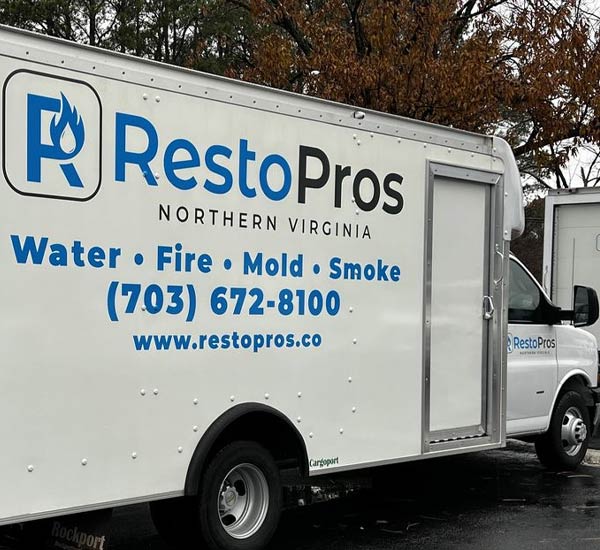 Residential Mold Remediation in Reston VA