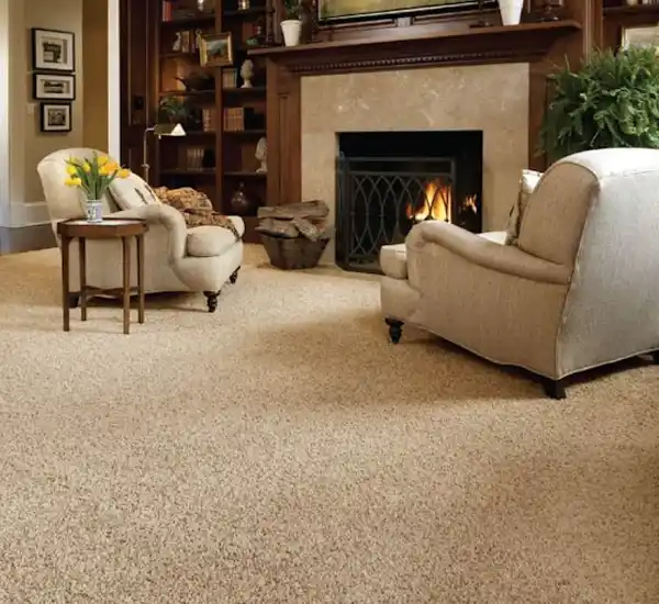 Carpet Cleaning Service in Lexington KY