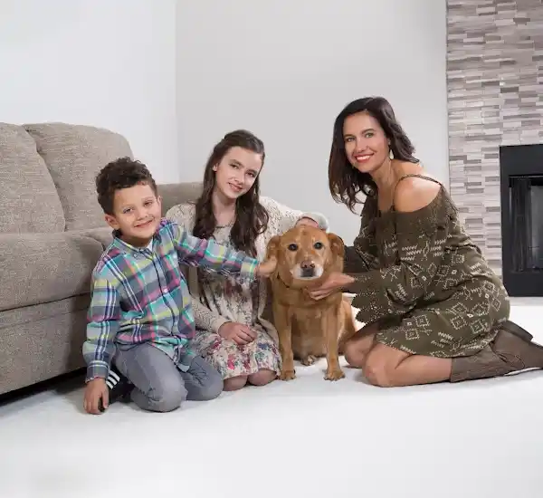 Pet Odor Removal in Nicholasville KY