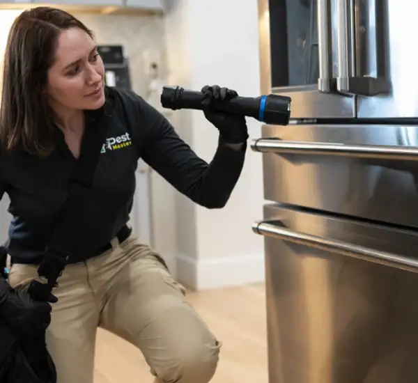 Pests Control Services in Omaha, NE