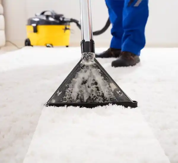 Carpet Cleaning Service in Albuquerque NM