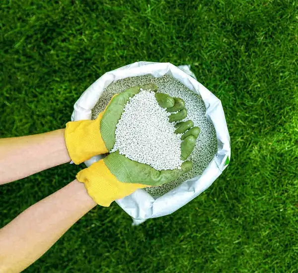 Lawn Disease Control in Columbia TN