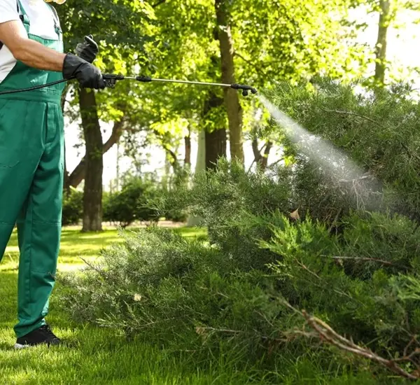 Lawn Flea Extermination in Murfreesboro TN
