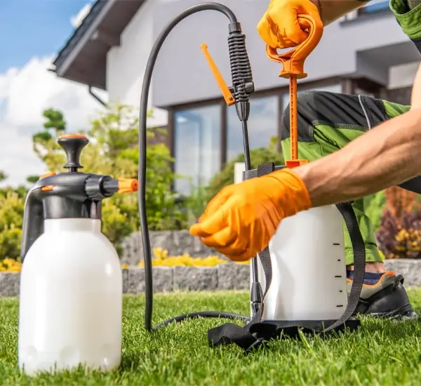 Lawn Fungus Treatment in Nashville TN