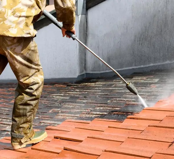 Roof Cleaning in Middleburg FL