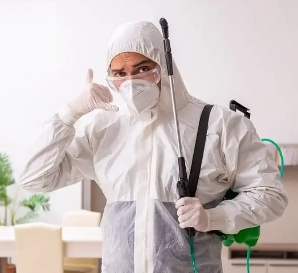 Pest Extermination in San Jose, CA