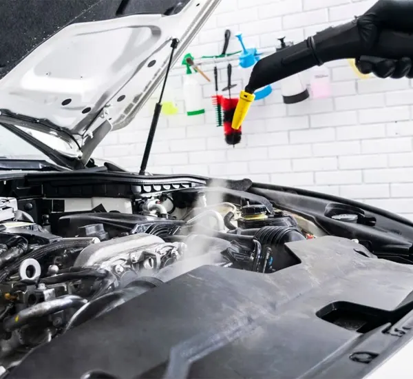 Engine Steam Cleaning in Bladenboro, NC