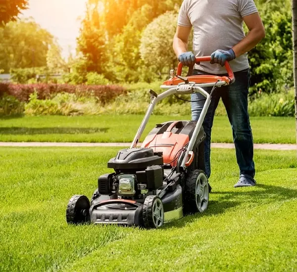 Lawn Care Services in Franklin TN