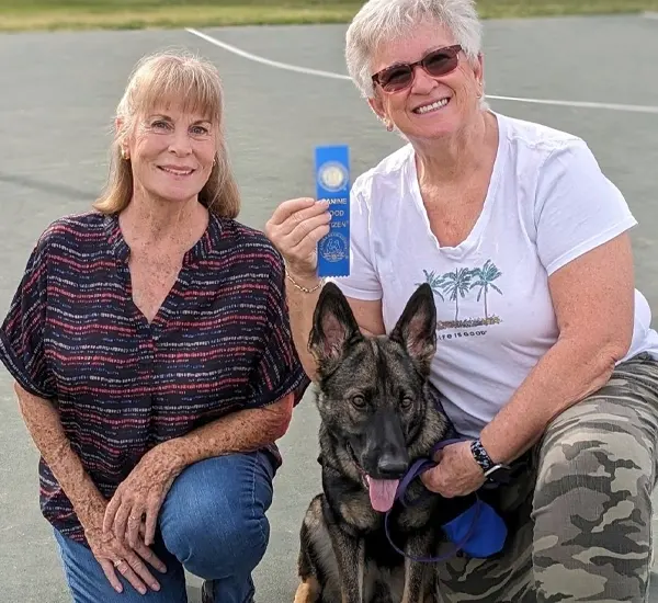 Solve Dog’s Behavior Problems in Lake Worth, TX