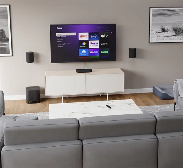 Surround Sound System Setup in Tacoma, WA
