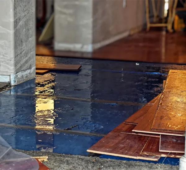 Emergency Restoration Services in Alexandria, VA
