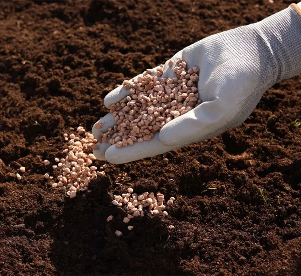Fertilization Service in Chesterfield, MO