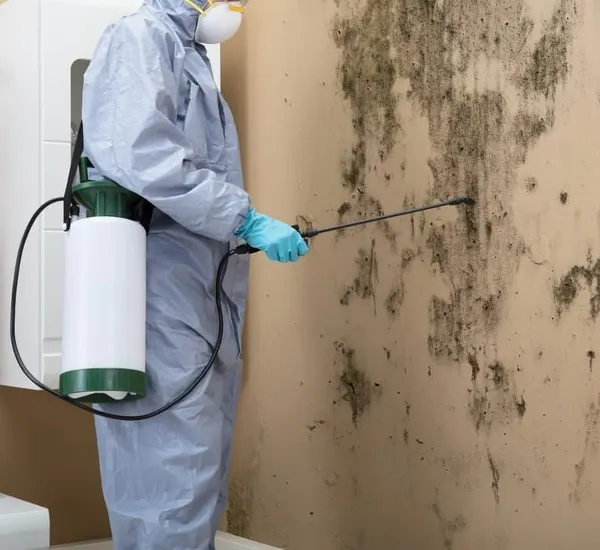 Professional Mold Damage Cleanup in Arlington County, VA
