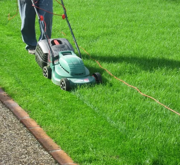 Lawn Care Services in Chandler, AZ