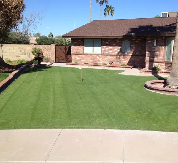 Yard Cleanup Service in Mesa, AZ