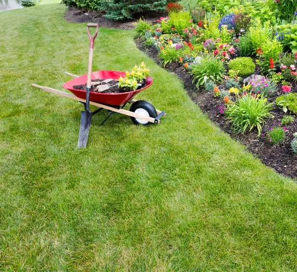 Professional Landscape Services in Mesa, AZ