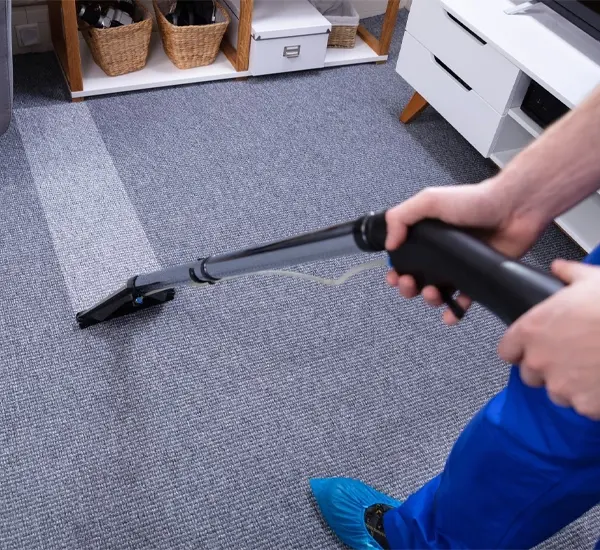 Best Carpet Cleaning Services in Parkland, FL