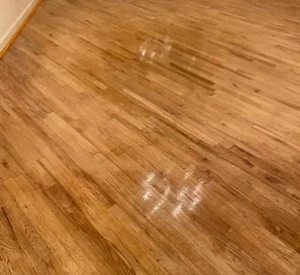 Professional Floor Sanding Service in Windermere, FL