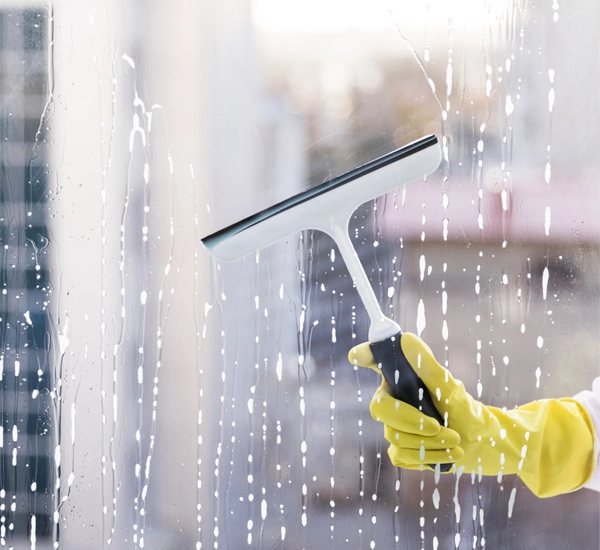 Expert Window Cleaning Services in Parkland, FL