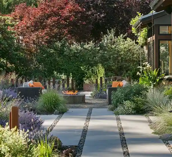 Landscape Design and Planning in Charlotte NC