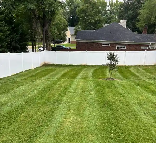 Lawn Care and Maintenance in Matthews NC