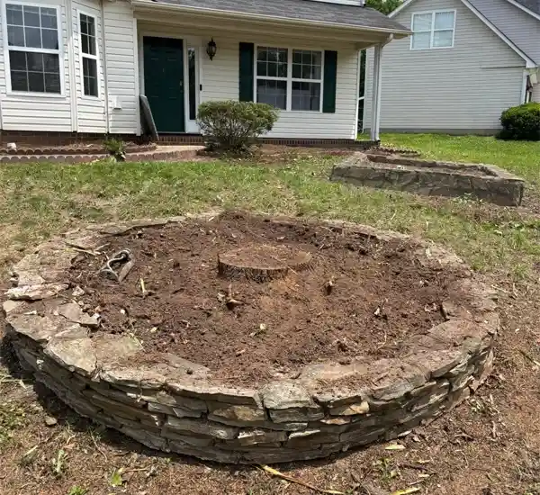 Shrub Pruning and Trimming in Gastonia NC