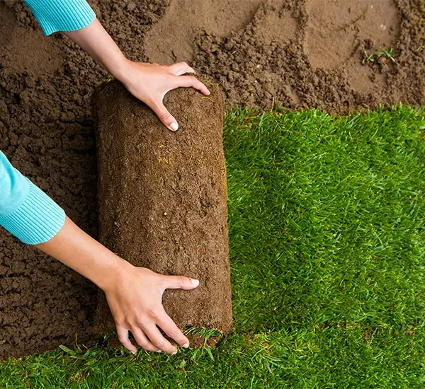 Landscaping Services in Warrington, PA